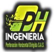 Ingeniería de Perforaciones Horizontales